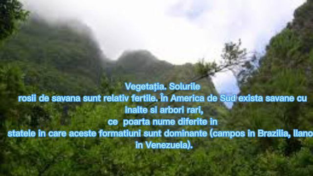 15 февраля 2023 г. смотреть онлайн