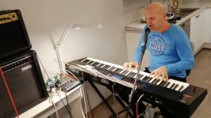 "Я тучи разведу руками" (Cover)