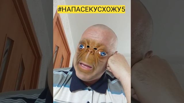 #НАПАСЕКУСХОЖУ5