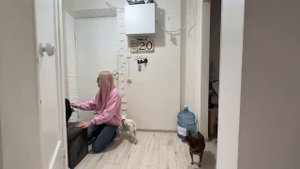ВЛОГ. Смысл жизни. Шипперим Вику. Веду Киру к косметологу. Вику не узнать. Добби упал.