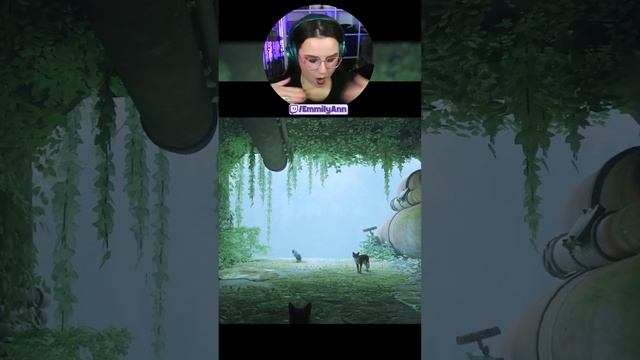 We got a unique Wah-venger introduction to this cozy game ? #shorts #straygame смотреть онлайн