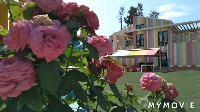 CLUB HOTEL PHASELIS ROSE 5* KEMER 2021 смотреть онлайн