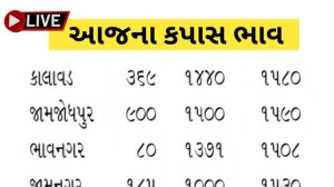 kapas na bhav | 06-09-2023 | કપાસના ભાવ:2023 | Information about cotton crop price | commodity tren