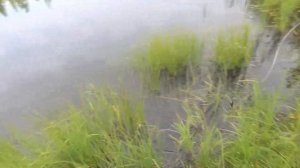 РЫБАЛКА# КАРЬЕР ПРИЯТНО УДИВИЛ