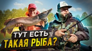 ТУТ ЕСТЬ ТАКАЯ РЫБА?