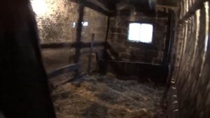 Первый окот овцы//Содержание овец//Зимние роды у овец