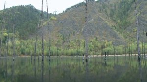 Щука сентябрьская.  Саяно-Шушенское водохранилище. Часть 1.