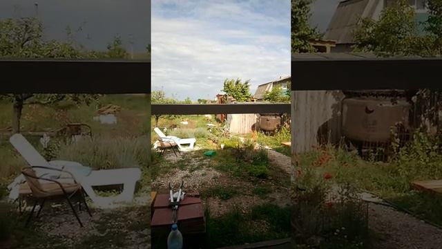 алабай съел две миски куриных каркасов смотреть онлайн