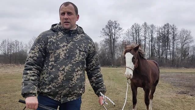 Если лошадь кусается, что делать? Устранение нежелательного поведения вашей лошади. смотреть онлайн