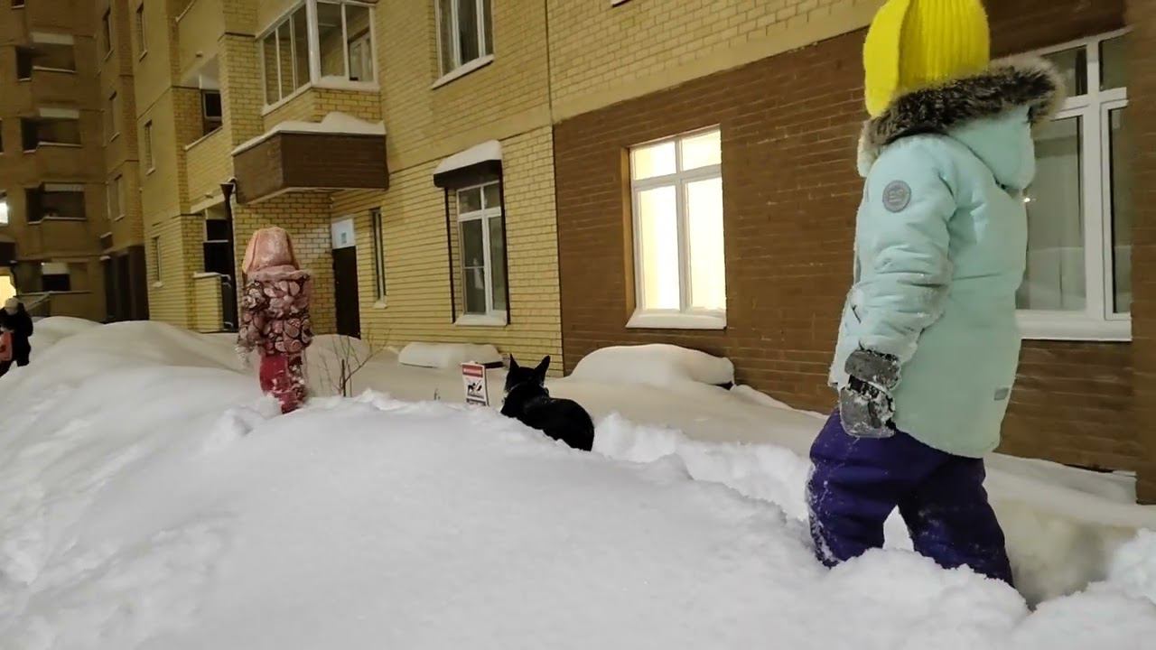 Мерим сугробы! февраль 2024 #зима #ксюшаимаша #винтик #французскийбульдог #frenchbuldog #сугробы