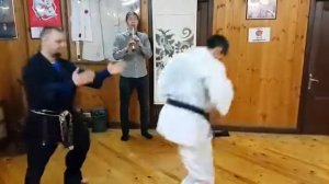 The principles of kata Sanchin and Seichin Uechi ryu karate do Okikukai