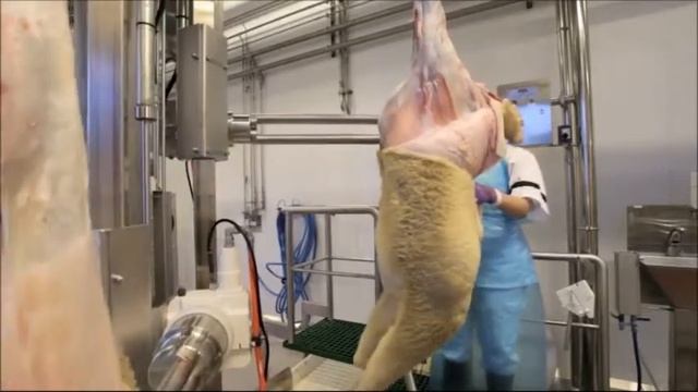 Фрагменты линии убоя овец 2 смотреть онлайн