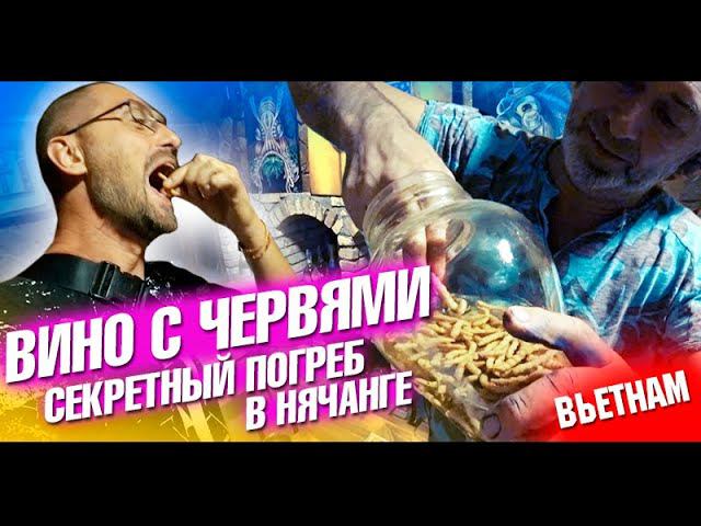 Вьетнам Нячанг. Секретный погреб и сигара Фиделя Кастро! Северные острова и дегустация. Влог