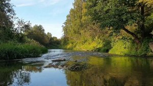 Сплав на лодке в Дмитровском районе.