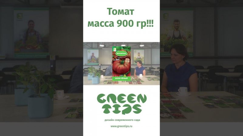 Томаты массой до 1кг Семена https://www.wildberries.ru/brands/310612461-Green%20Tips#c148269537