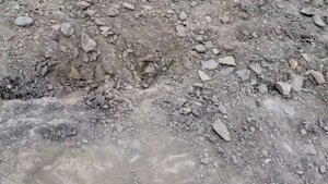 ЗОЛОТАЯ ЛИХОРАДКА.  MINELAB Eureka Gold  (МИНЕЛАБ Эврика голд)