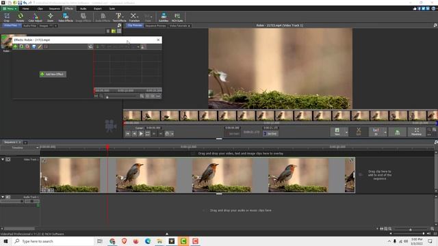 VideoPad Tutorial: How to Reverse Video in VideoPad