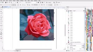 TRIK CEPAT REMOVE BACKGROUND DI COREL DRAW