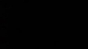 НАС БОЯЛСЯ весь СЕРВЕР на АНАРХИИ // PHOENIX-PE