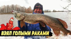 ФЛЮР или железо_! ДВОЙНИК или тройник_! Рыбалка на кружки_Чебоксарка.mp4