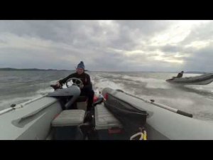 SUZUKI DT30 vs YAMAHA 30H. Риб АЭРО Комета 420 и Орлан 400
