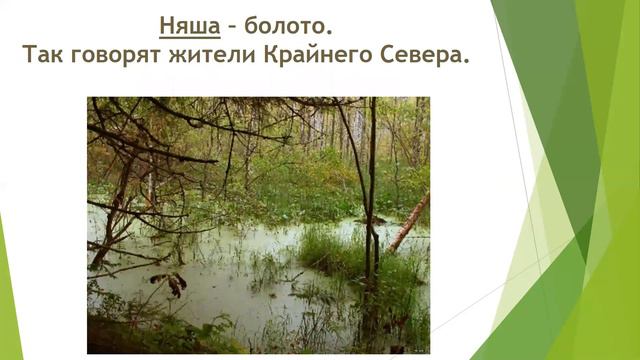 Диалектизмы