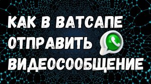 Как в Ватсапе отправить видеосообщение [НОВЫЙ УДОБНЫЙ СПОСОБ]