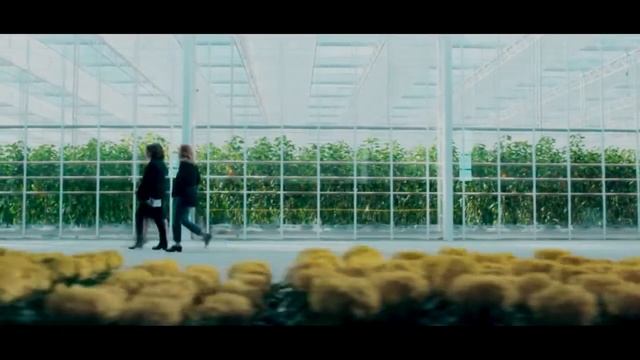 Умные ульи или сценарий черного зеркала смотреть онлайн