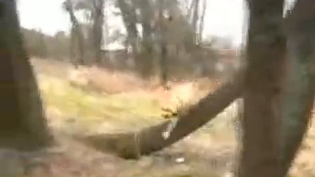 TreT - PARKOUR DOG FROM UKRAINE (TreT-Style) смотреть онлайн