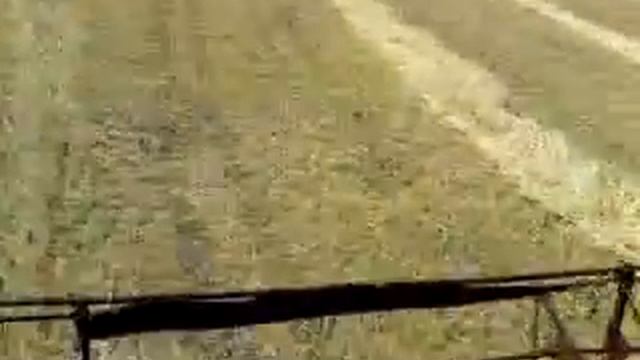 Нива СК-5М1.Пшеница.Свал.3.MP4 смотреть онлайн