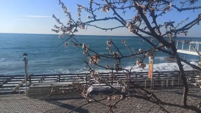 Массандровский пляж - лучший пляж в Крыму! Без света! Ялта, Крым.