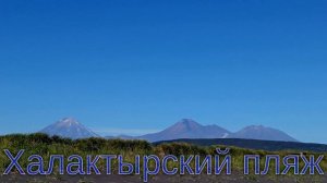 Халактырский пляж. Тихий океан🌊🐬