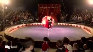 Московский государственный передвижной цирк-шапито в Витебске