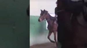 ‘’Ходит по свету легенда одна, что в  том доме Солнце живёт’’А Тэхен - наше Солнце💜💜#тэхен #бтс