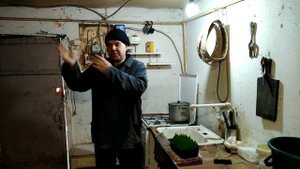 Кучинская юбилейная порода// из Краснодара!!!!