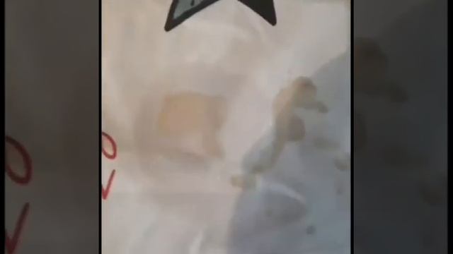 Пятна от соевого суаса убираем с белой футболки смотреть онлайн