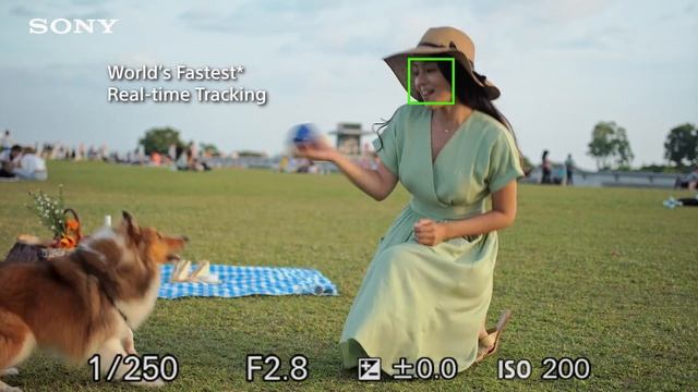 Sony | Alpha 6400 l Capture beautiful moments смотреть онлайн