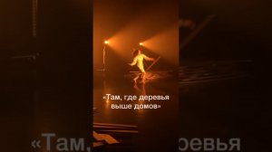 Спектакль "Там, где деревья выше домов" на фестивале "Танцсоюз" (2023 г., Калуга)