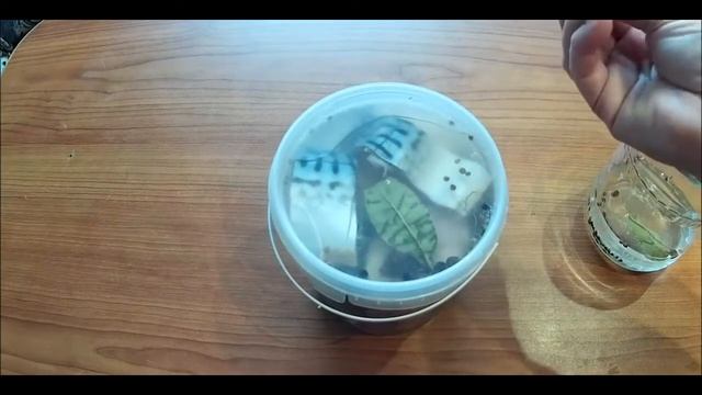 Малосольная скумбрия, пряного посола