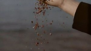 Омар Кыргызстаным remix