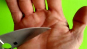 SPYDERCO PARA MILITARY 2 CPM S30V vs CPM S110V