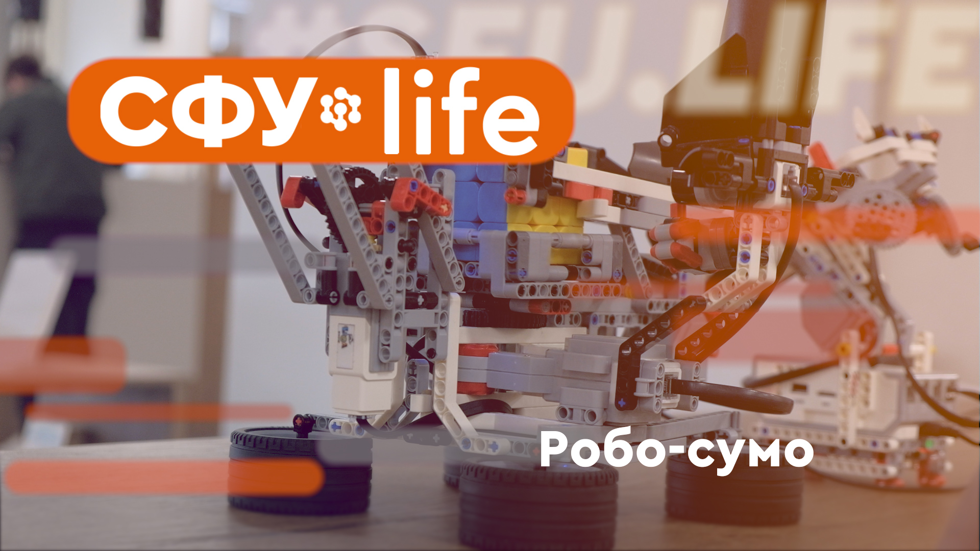 СФУ.life: Конкурс по робо-сумо