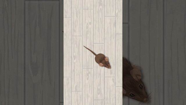 Игра Мышка для кошки, Mouse for cat game  #мышка  #длякошек  #анимация #animation #gameforcats