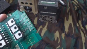 ВИДЫ ПОЛОМОК  ЧАСТОТНИКОВ