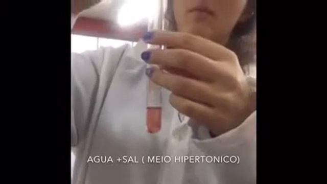 Relatório de biologia: osmose em hemácias смотреть онлайн