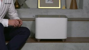 SWF BR100 Wireless Sub Woofer from Sony