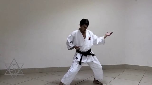 Техника Айкитэ