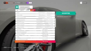 STEERING WHEEL config for REALISTIC Gaming on FH4