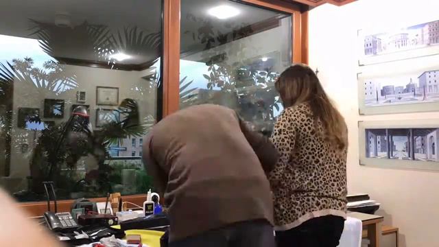 Washburn Dimebolt Restoration смотреть онлайн