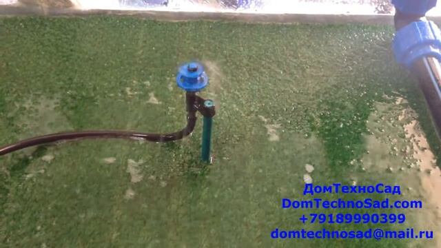 Полив это просто! Спринклер Netafim. смотреть онлайн